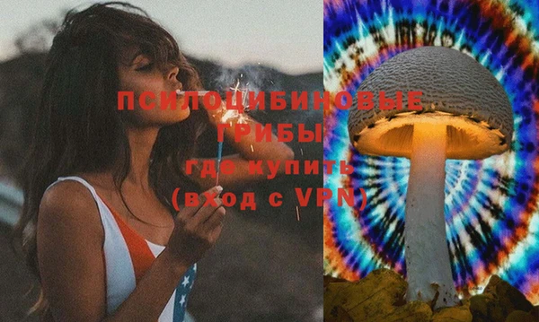 ПСИЛОЦИБИНОВЫЕ ГРИБЫ Алексеевка